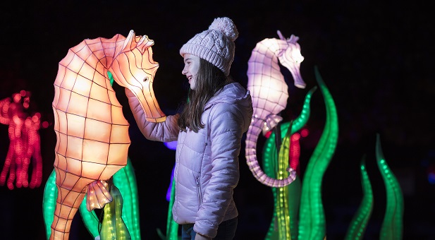 Win tickets to Wild Lights! Win tickets to Wild Lights!